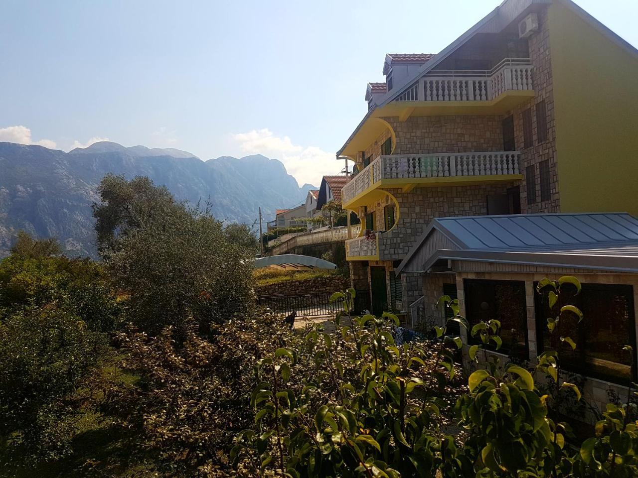 Apartment Ksenija Kotor Exteriör bild